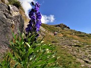 Laghi e Monte Ponteranica-Monte Avaro dai Piani-13ag22- FOTOGALLERY